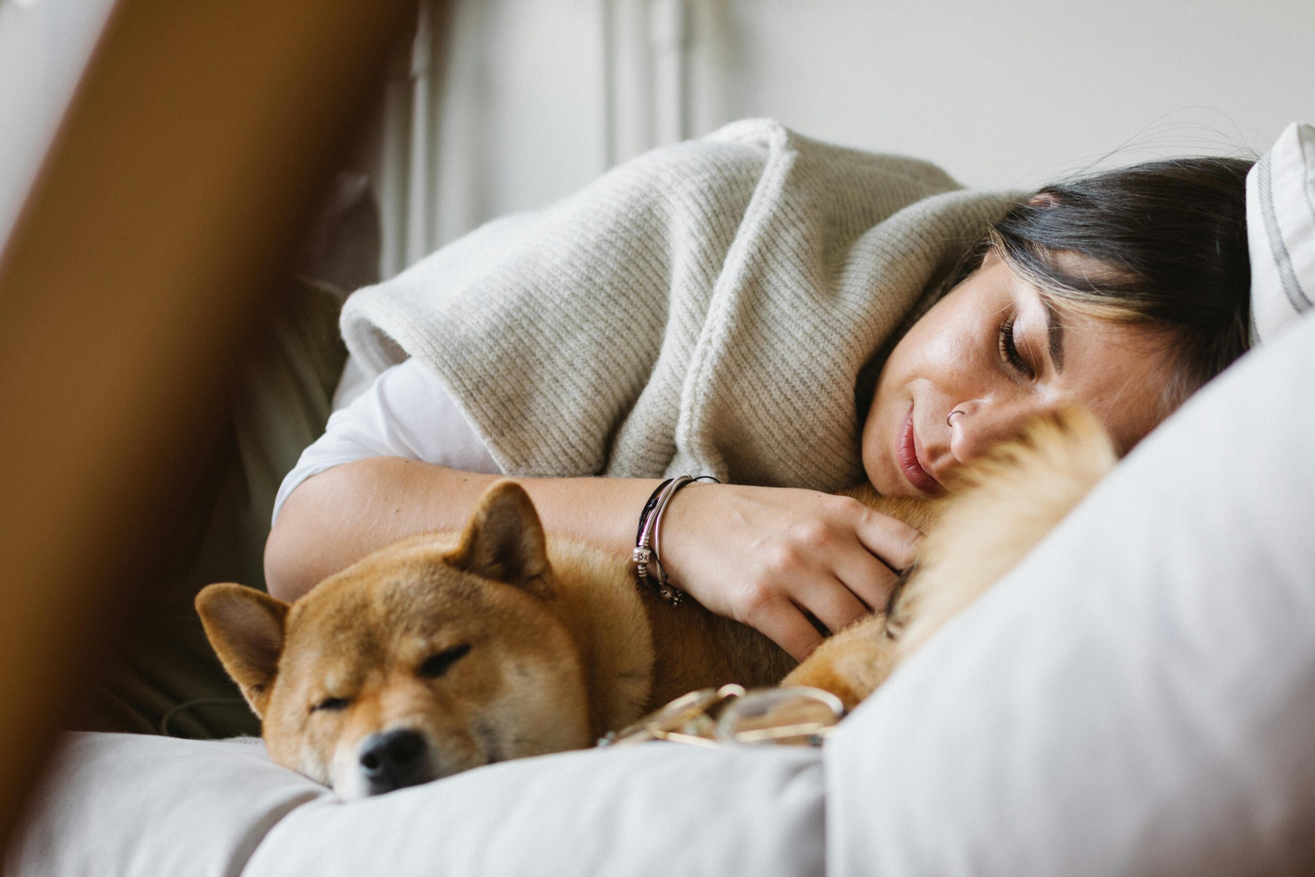 Wie bringt man seinen Hund dazu, im Zimmer zu schlafen? Lösung