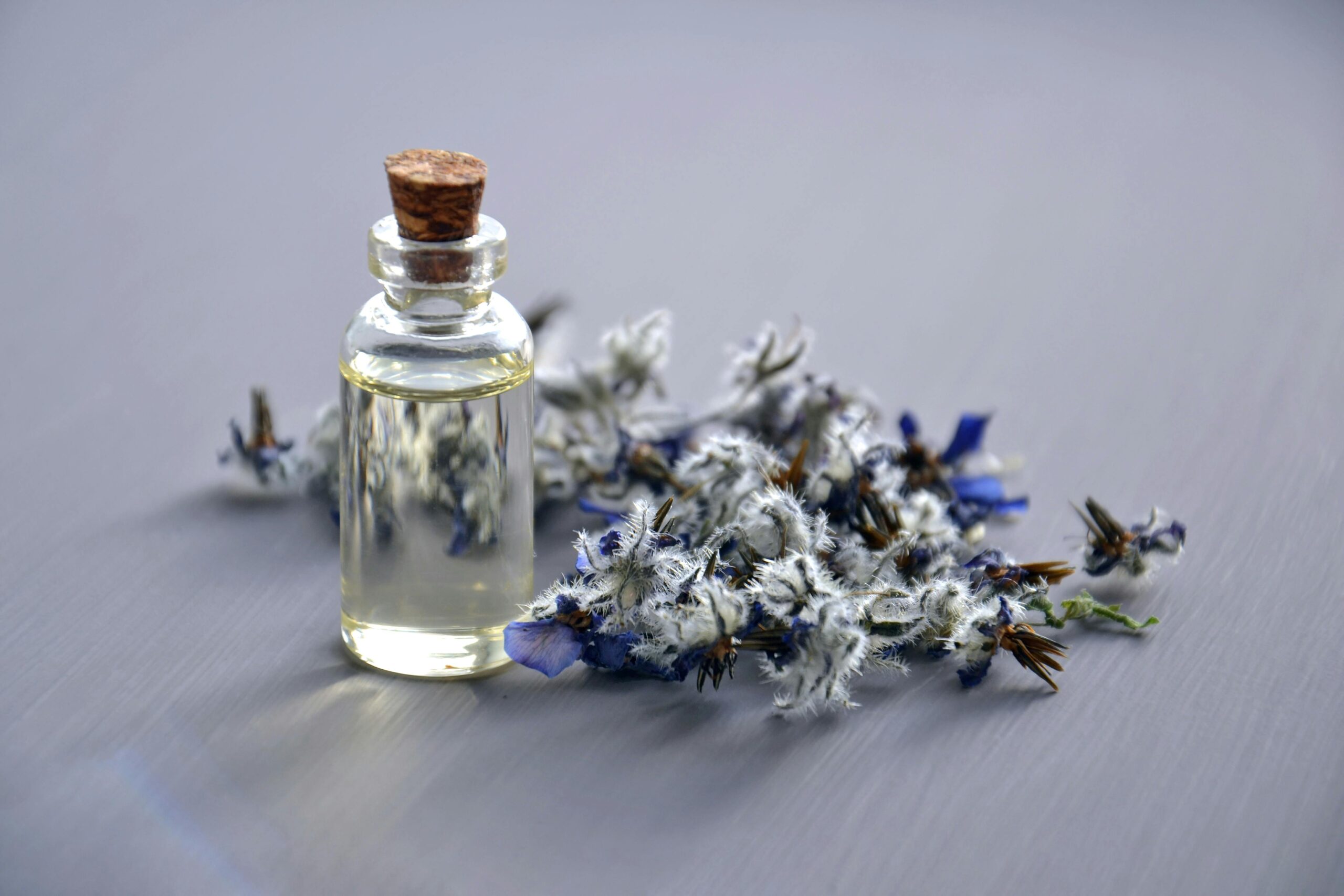 Lavendelöl gegen Mücken verwenden: So machen sie es richtig